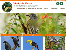 Tablet Screenshot of birdinginbelize.com
